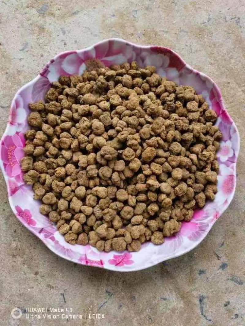 元胡延胡索大量现货量大从优现货先发欢迎电话联系