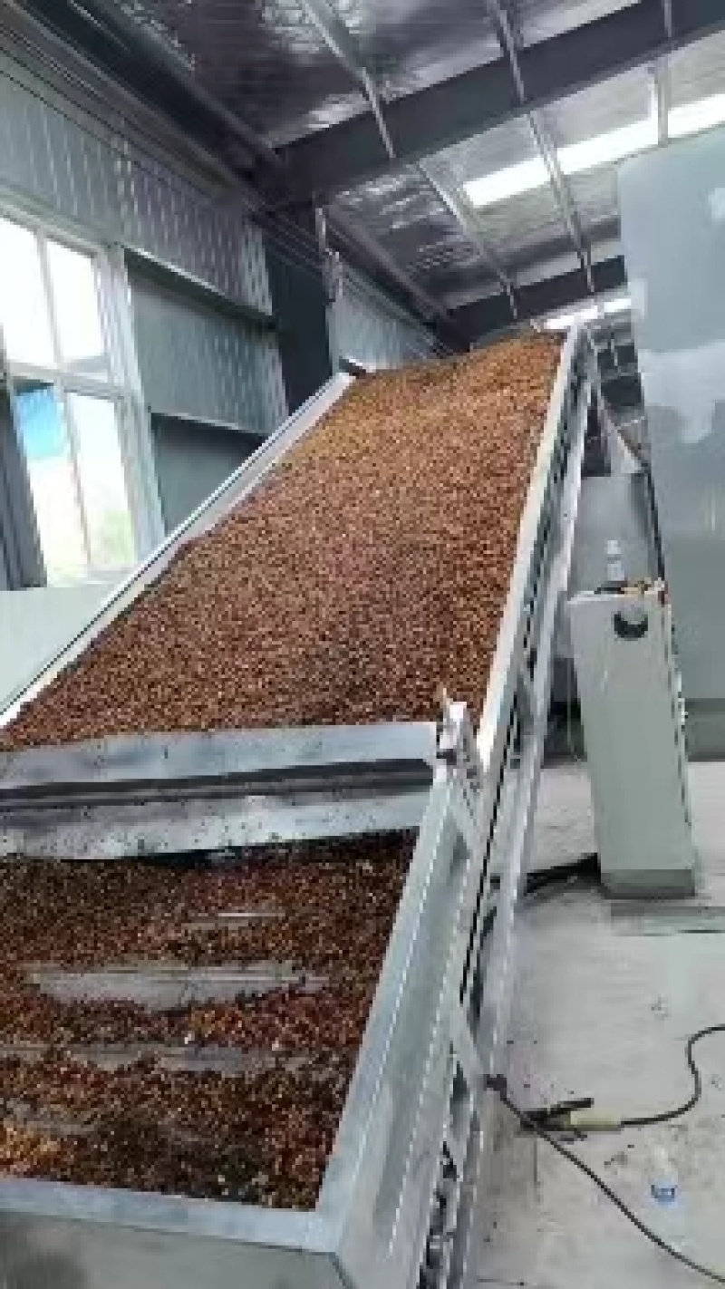 元胡延胡索大量现货量大从优现货先发欢迎电话联系