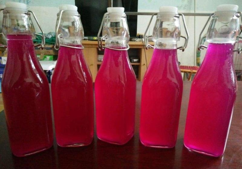成都火龙果酒新鲜果肉制作代加工OME贴牌多规格量大从优