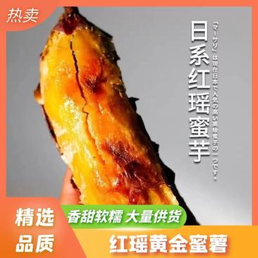 天津【红瑶黄金蜜薯】香甜软糯口感浓郁产地直发量大从优