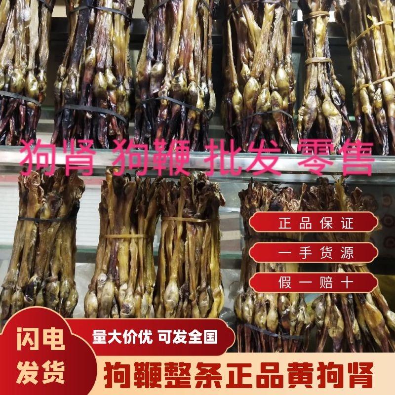 狗鞭整条正品黄狗肾狗肾鞭干中药材农户加工泡酒煲汤