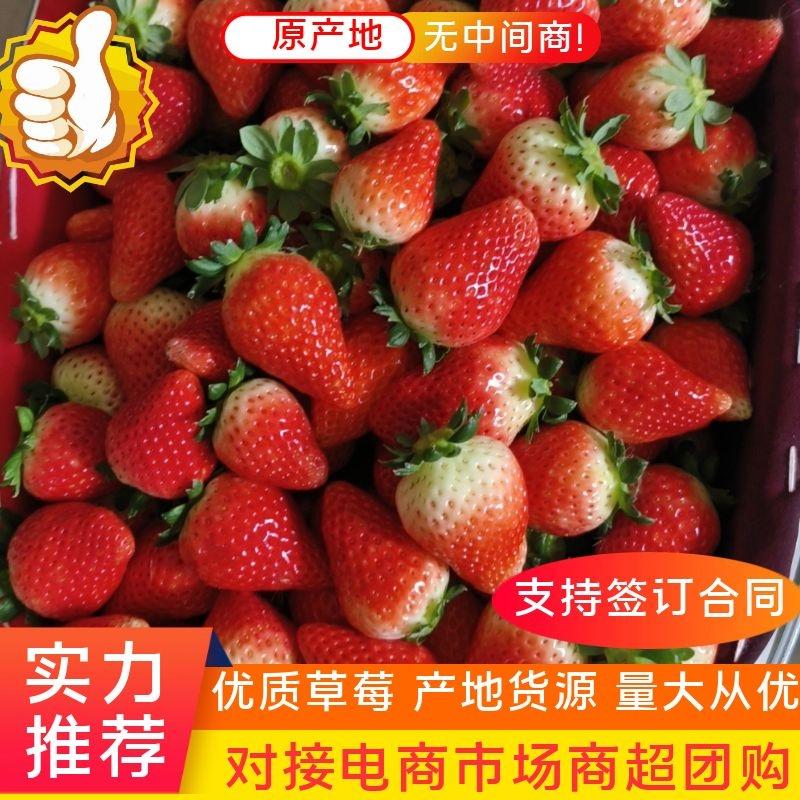 草莓天仙醉草莓安徽产地对接全国批发商超市价格优欢迎咨询