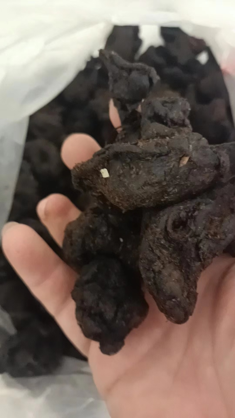 九蒸九晒黄精各种型号都有欢迎电话联系价格优惠