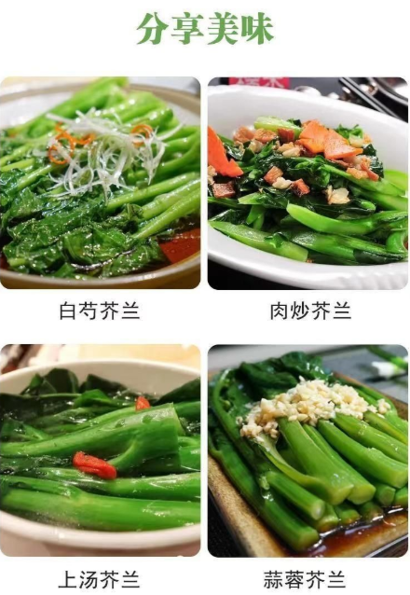 新鲜正品鸡腿芥兰种子食用芥兰菜四季阳台芥蓝籽蔬菜种子大全