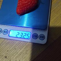 【精选】陕西西安章姬草莓种植基地一手货源价格稳定供货