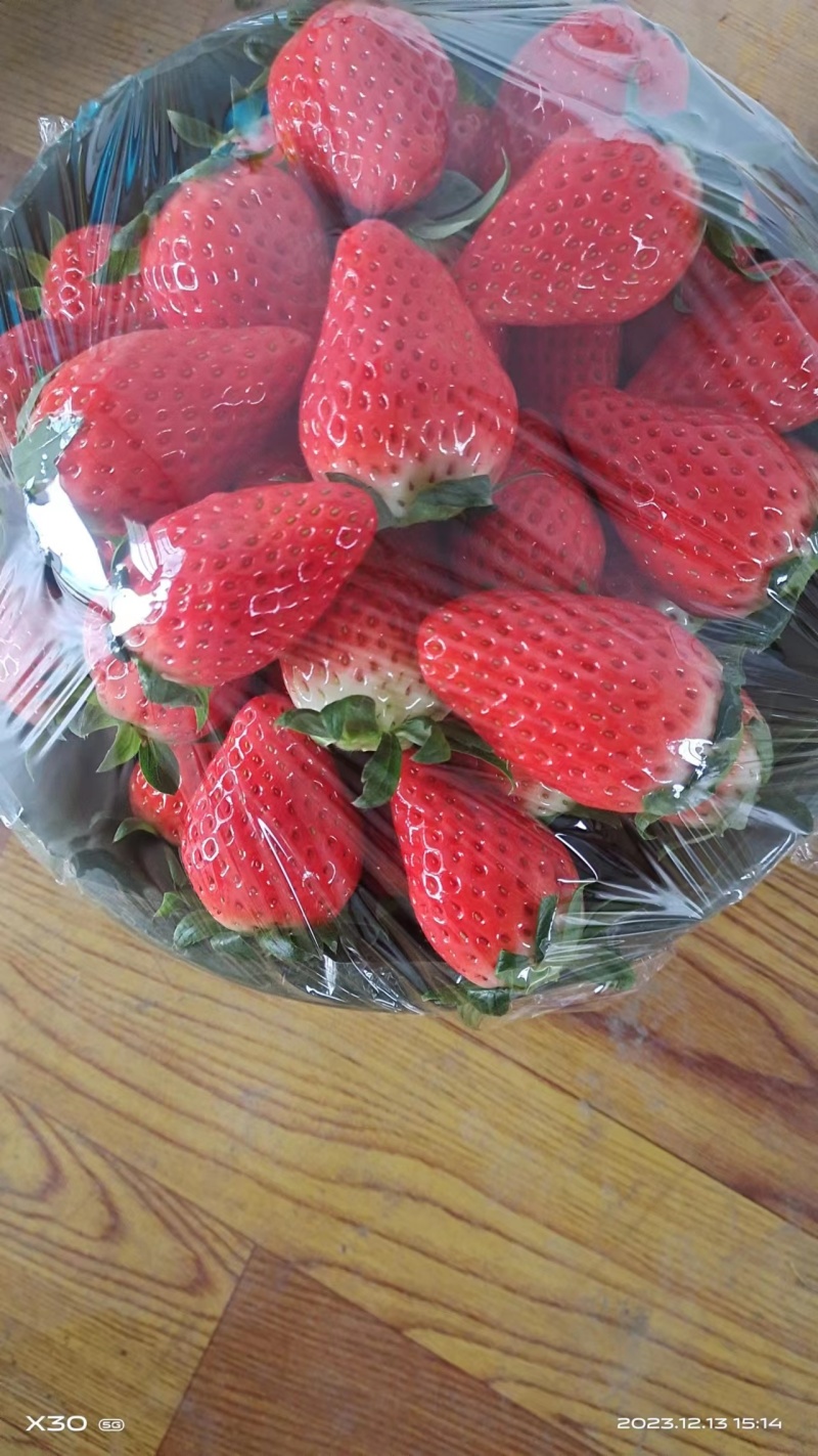 【精选】陕西西安章姬草莓种植基地一手货源价格稳定供货