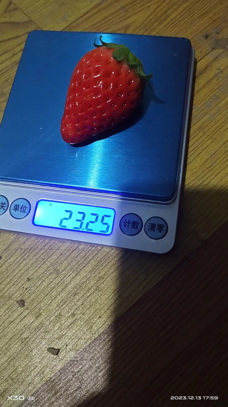 【精选】陕西西安章姬草莓种植基地一手货源价格稳定供货
