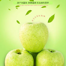 河北王林苹果皮薄肉嫩天然健康一手货源量大从优基地直发