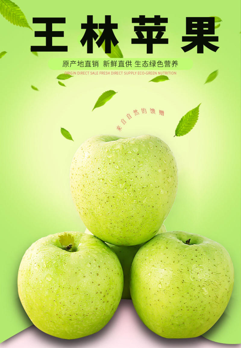 河北王林苹果皮薄肉嫩天然健康一手货源量大从优基地直发