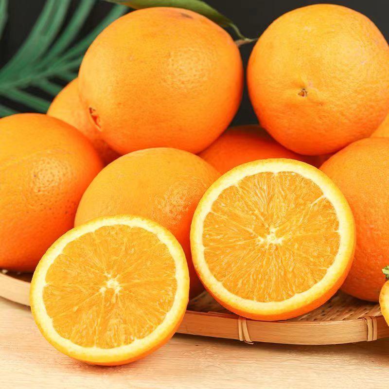 【正宗】纽荷尔脐橙大量上市中产地直发量大价优欢迎来电咨询