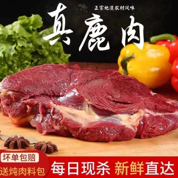 【精品推荐】河南永城梅花鹿肉鹿场直发价格稳定全国发货