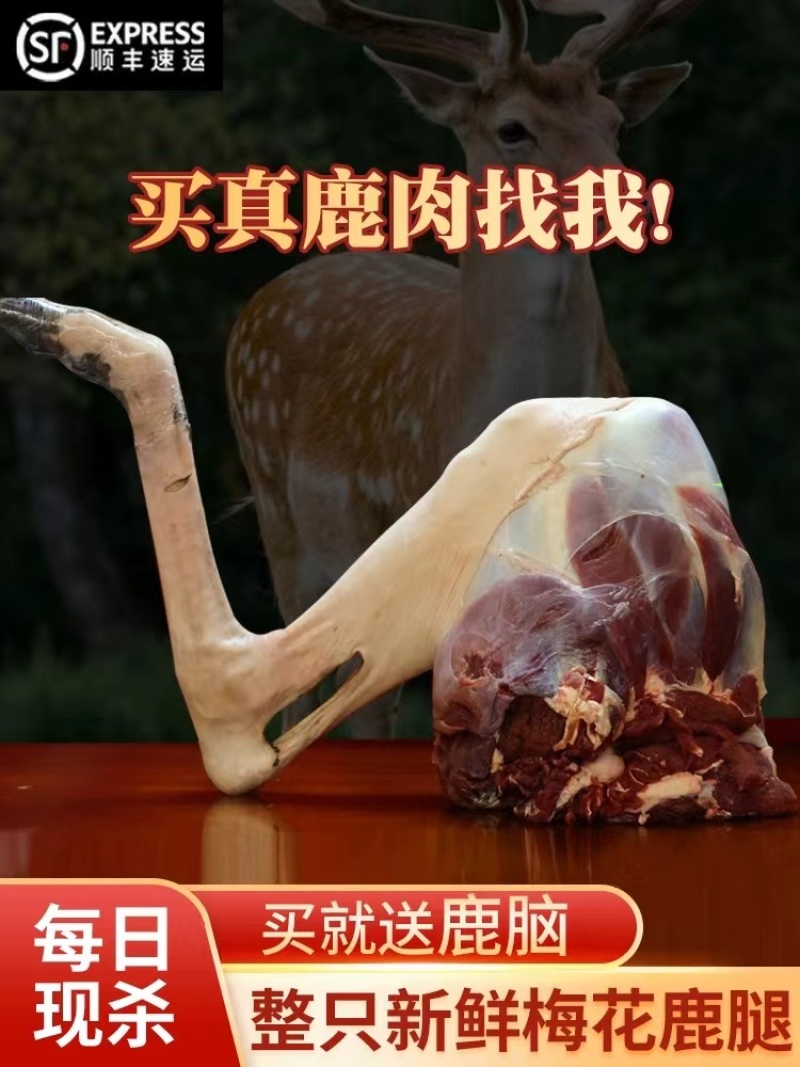 【精品推荐】河南永城梅花鹿肉鹿场直发价格稳定全国发货