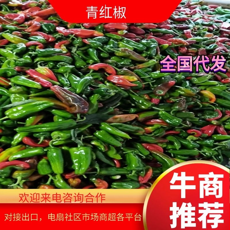 彩椒花辣椒，杂椒，大量上市万亩基地货源充足