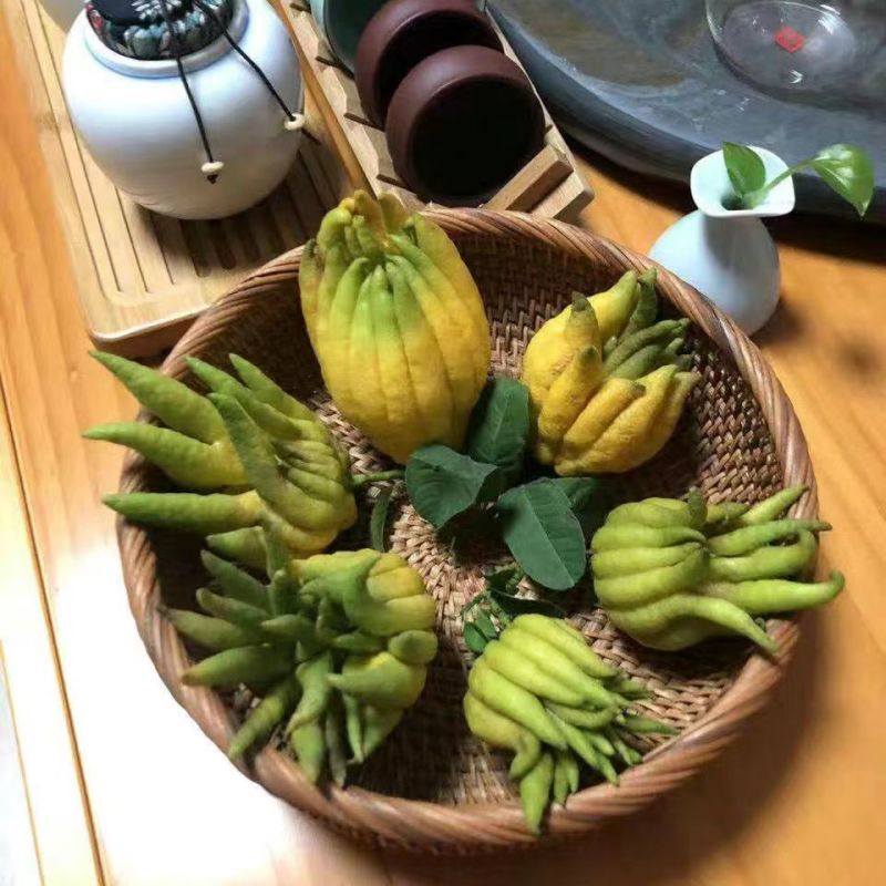 四川安岳川佛手柑干片，规格多样，货源充足稳定，价格可谈