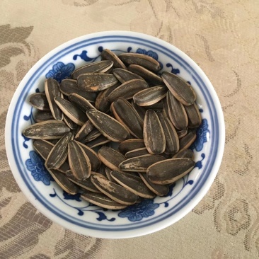 当季新货葵花籽同庆6号，内蒙古基地一手货源，供货稳定充足