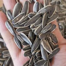 内蒙古当年新货葵花籽2399大量上市，规格多样，价格可谈
