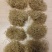 【红薯粉丝】农家纯手工制作质量保证量大优惠全国发货
