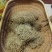 【红薯粉丝】农家纯手工制作质量保证量大优惠全国发货