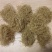 【红薯粉丝】农家纯手工制作质量保证量大优惠全国发货