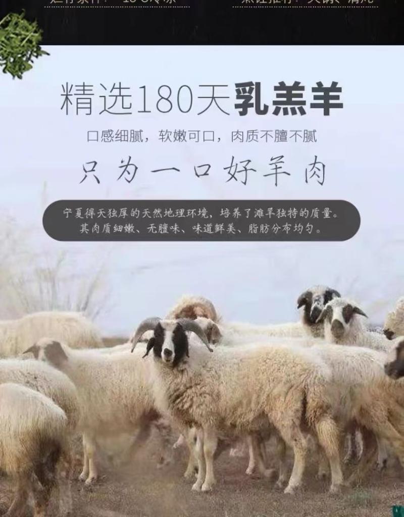 【推荐】宁夏利通区盐池滩羊肉厂家一手货源价格稳全国发