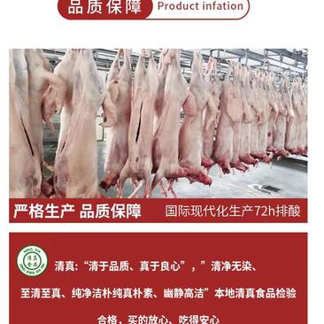 【推荐】宁夏利通区盐池滩羊肉厂家一手货源价格稳全国发