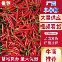 【精品】广西小米椒，大量上市，货源充足，质量保证，欢迎来电