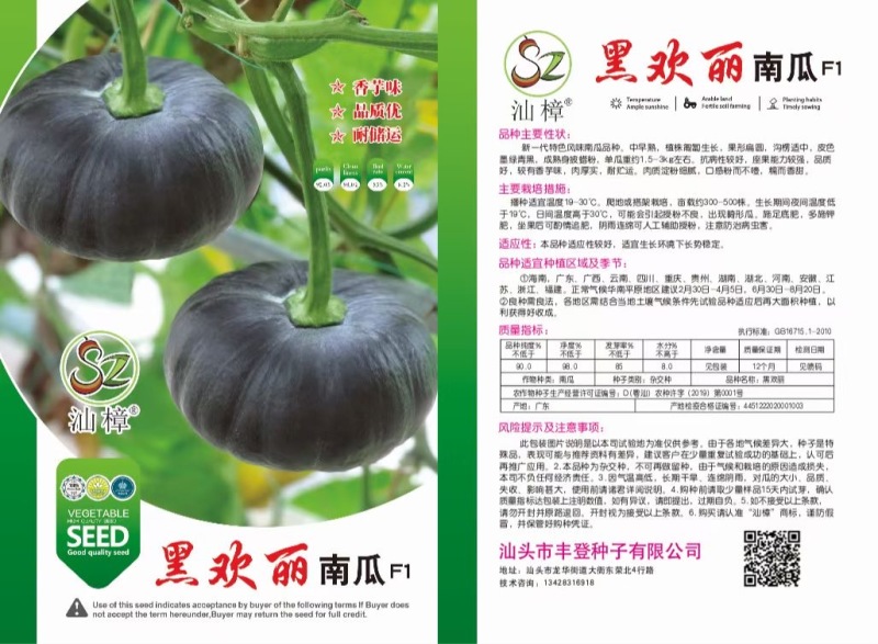 特色小南瓜种子口感好较有香芋味趴地露地中早熟糯而香甜蔬菜