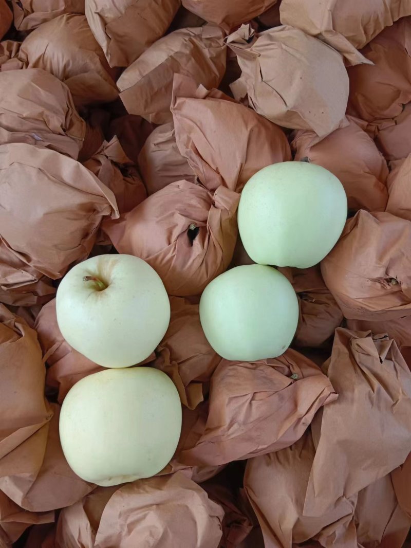 【苹果】辽宁黄元帅苹果大量供应皮薄多汁品质保证