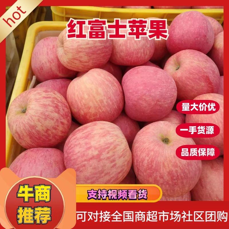 【平台推荐】山东沂水县纸袋红富士苹果产地一手货源价价格