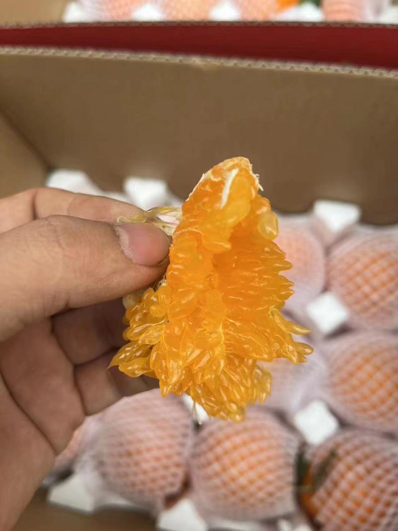 【正宗】耙耙柑大量上市中产地一手货源直发量大价优欢迎合作