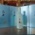 【品质保证】鹿筋酒500ml-42度量大从优欢迎下单