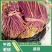 蕨菜产地直销，量大从优欢迎电话联系可以长期合作