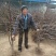 山东冬枣树苗根系发达耐寒现挖现发基地直供多规格量大从优