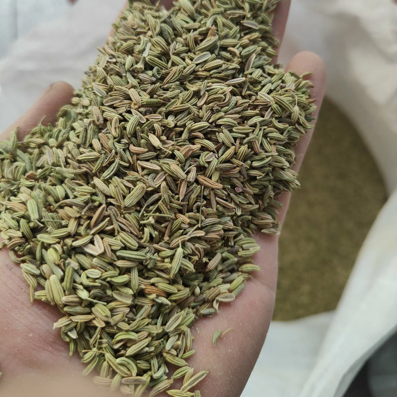优质小茴香常年供应无中间商可视频看货欢迎咨询