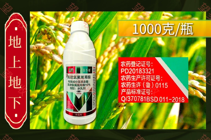 10%高效氯氟氰菊酯蚜虫菜青虫地上地下害虫农药杀虫剂