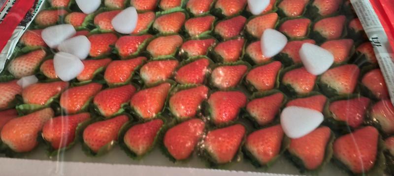 江苏妙香宁玉草莓商品果速冻果，加工果，量大价优