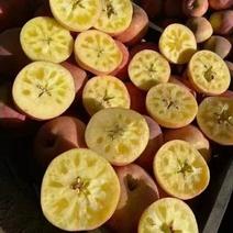 【阿克苏冰糖心苹果】新疆阿克苏苹果红富士苹果来电更