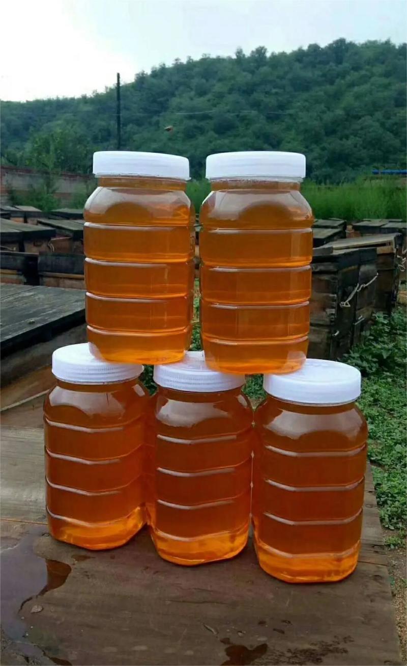 凉山蜂蜜，自产自销，一手货源，质量保证，欢迎咨询采购！