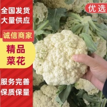 湖北精品菜花，产地直发，量大价优，承接电商团购，实力商家