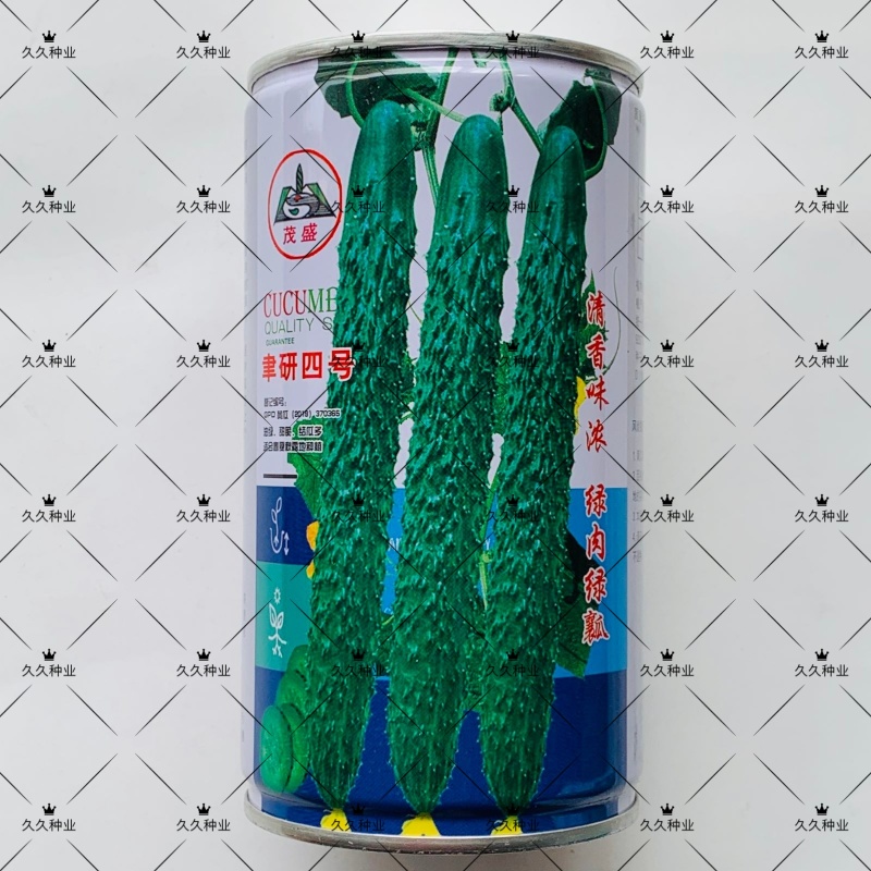 聿研四号黄瓜种子春秋两季蔬菜种子青瓜种子密刺长黄瓜种籽