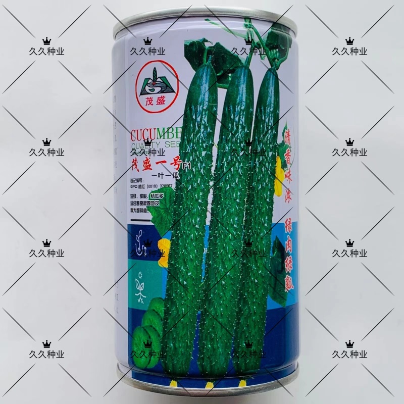茂盛一号黄瓜种子油亮型黄瓜杂交品种清香味浓绿肉绿瓤长黄瓜