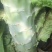 【优选推荐】红叶香莴苣，安徽宿州红叶莴苣，可实地考察看货