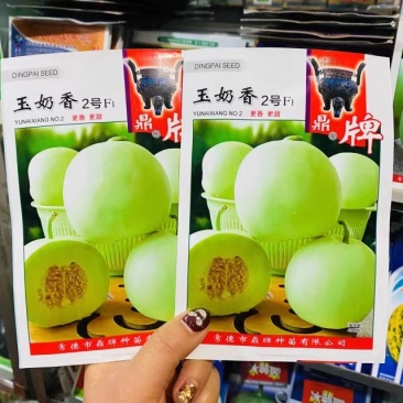 鼎牌玉奶香2号甜瓜种子，绿皮绿肉，香味浓郁，含糖度高耐涝