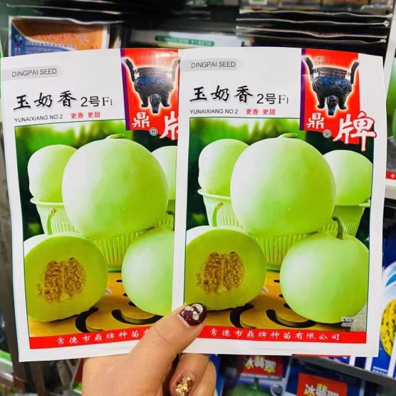 鼎牌玉奶香2号甜瓜种子，绿皮绿肉，香味浓郁，含糖度高耐涝