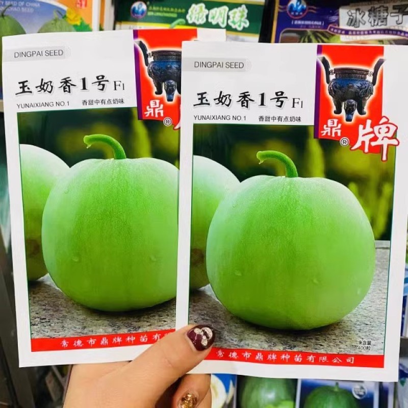 鼎牌玉奶香2号甜瓜种子，绿皮绿肉，香味浓郁，含糖度高耐涝