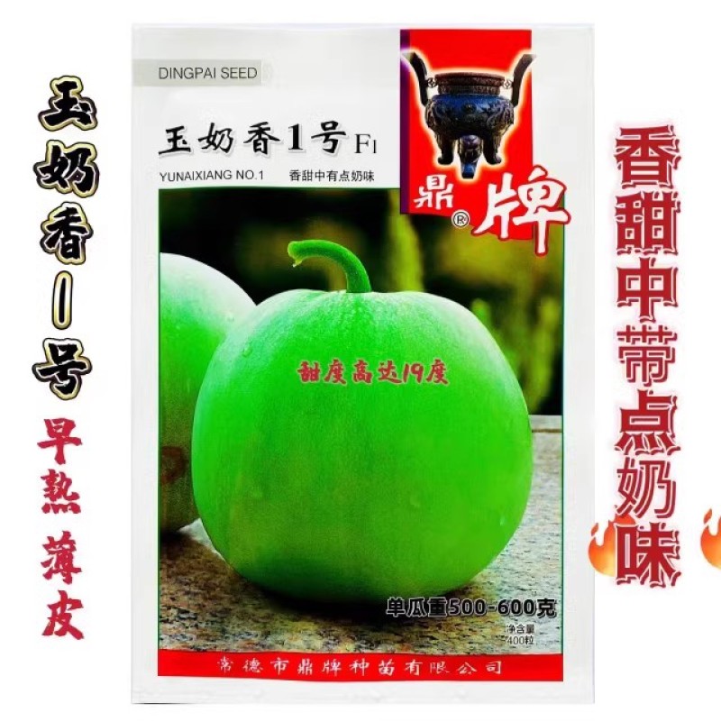 鼎牌玉奶香2号甜瓜种子，绿皮绿肉，香味浓郁，含糖度高耐涝
