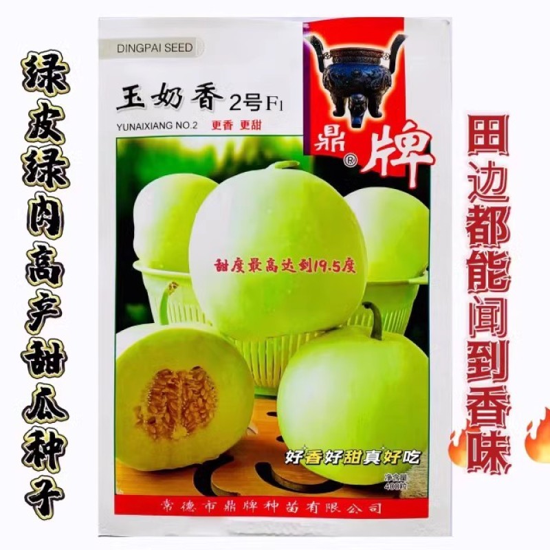 鼎牌玉奶香2号甜瓜种子，绿皮绿肉，香味浓郁，含糖度高耐涝