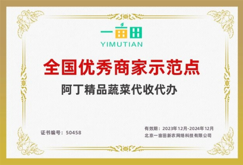 莴笋，红叶莴笋，江苏东台大量供应/1.5-2.5斤