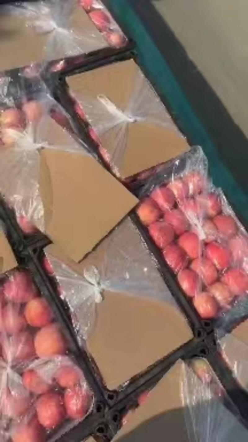【好货】新疆红富士苹果阿克苏苹果大量现货可视频看货