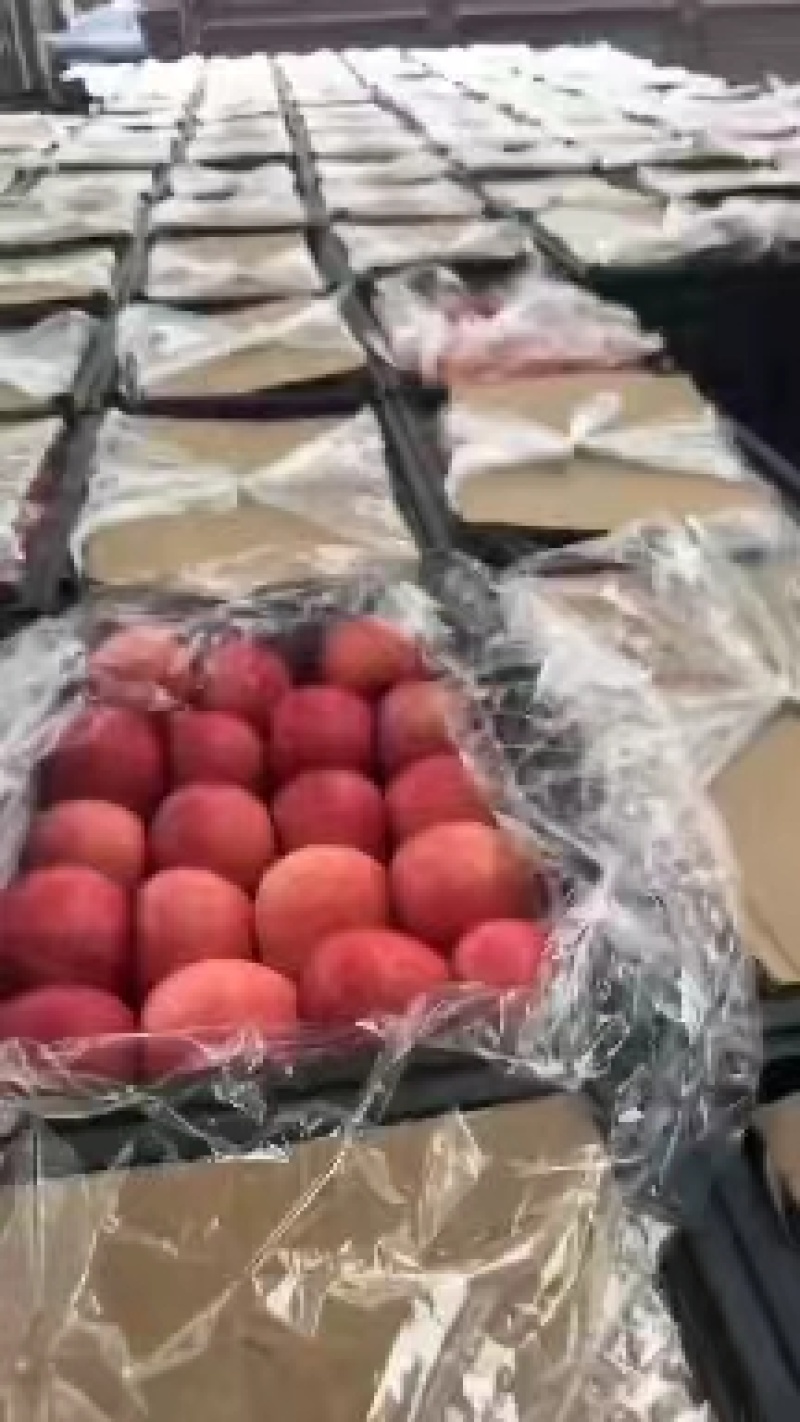 【好货】新疆红富士苹果阿克苏苹果大量现货可视频看货
